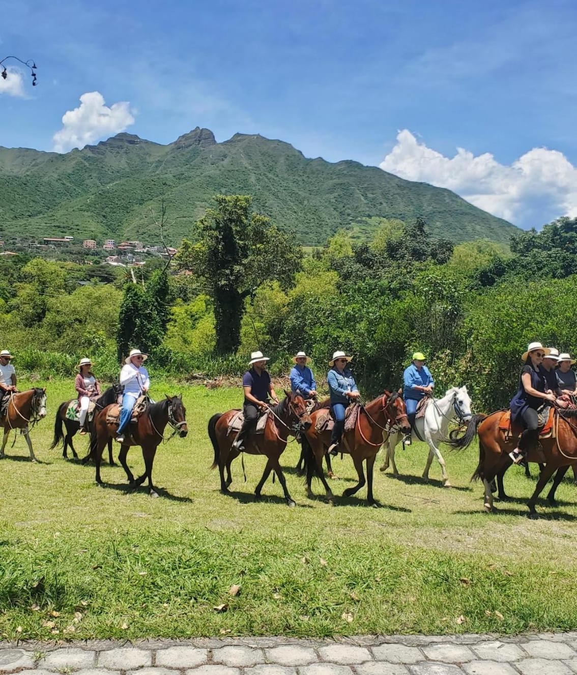 El Descanso Del Toro Hosteria-Spa Vilcabamba Eksteriør bilde